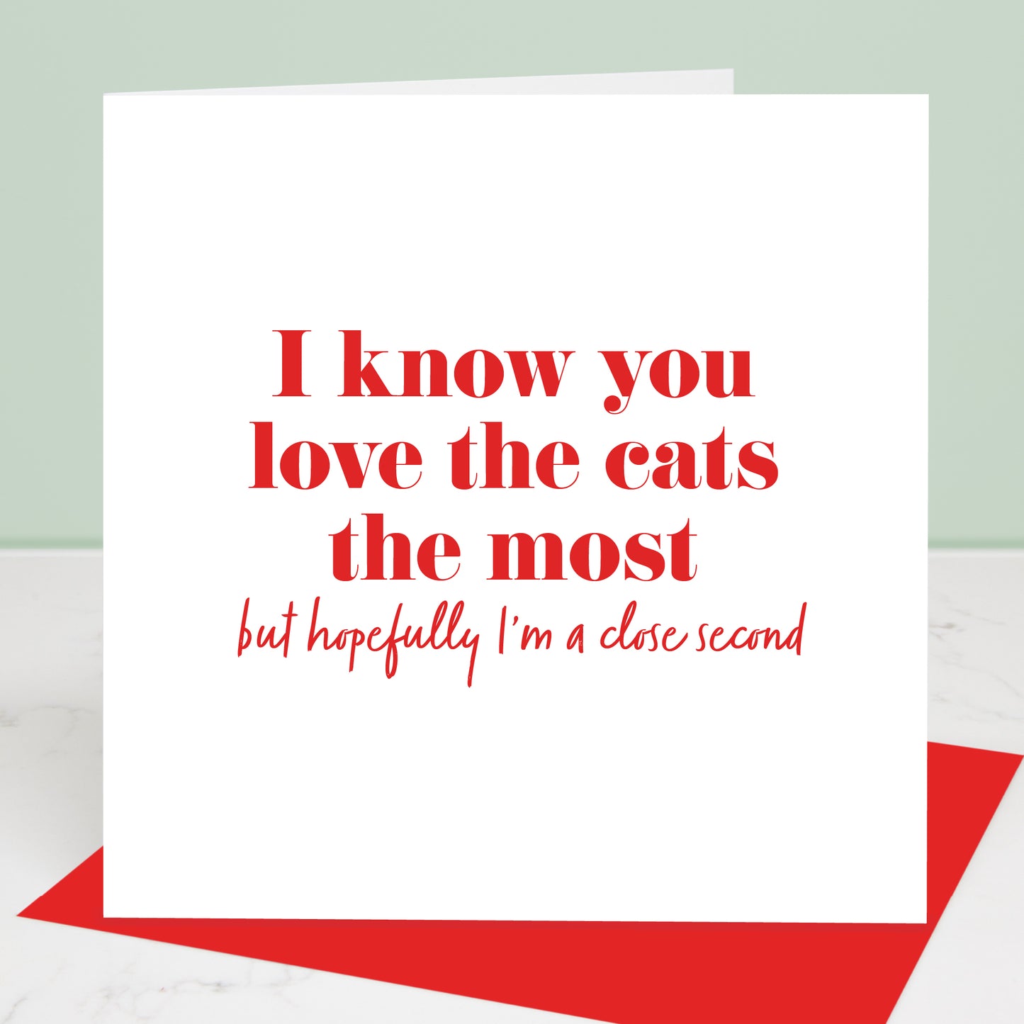 You Love The Cat The Most Valentine's Day Card